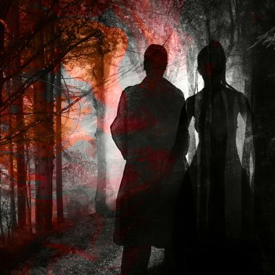 Two shadows in a dark forest